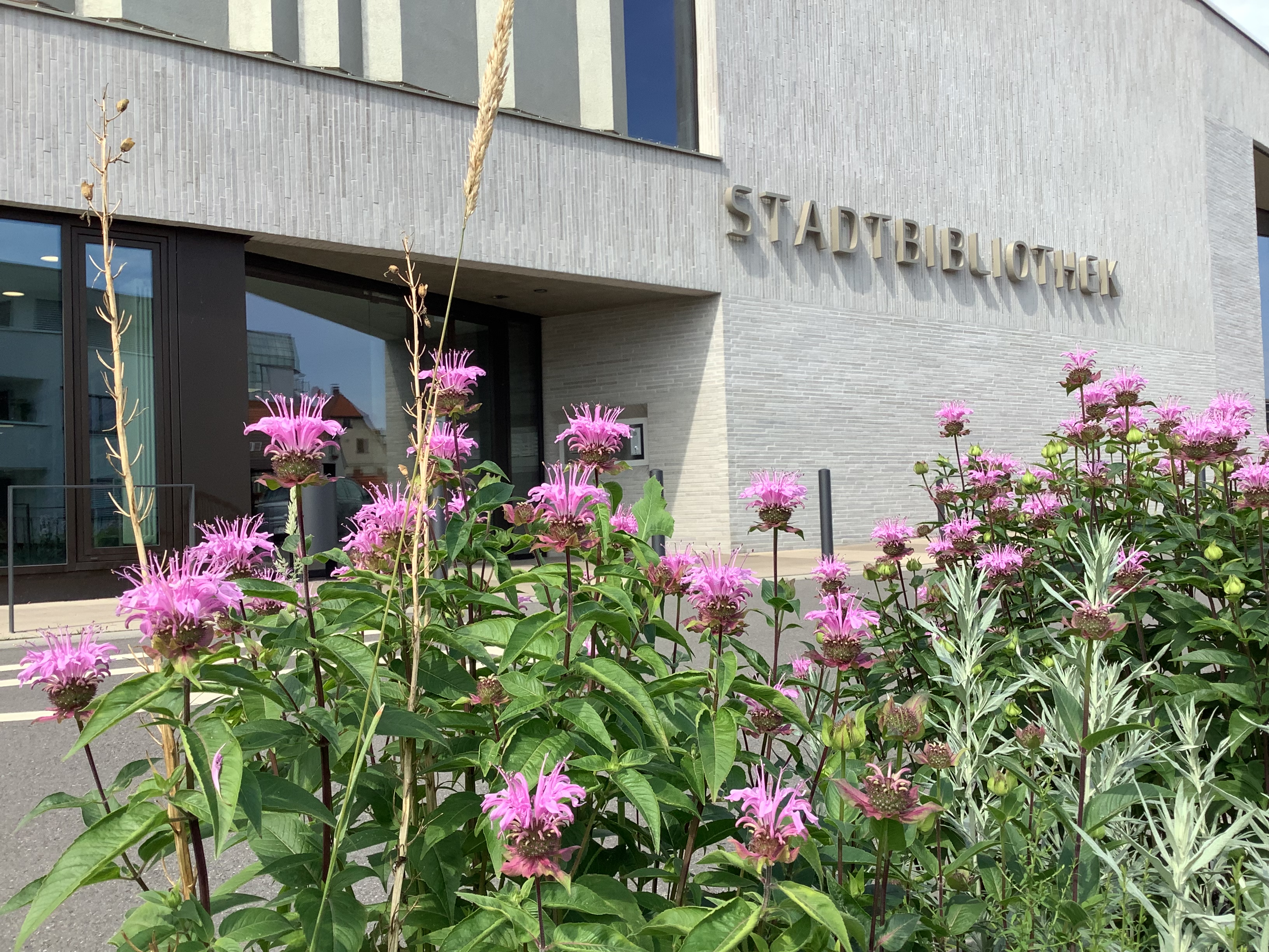 {#Stadtbibliothek Sinsheim}